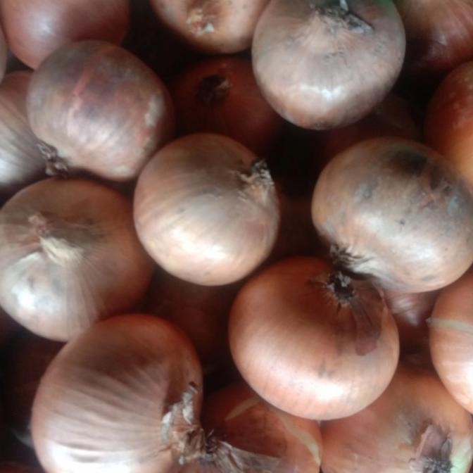 

Sale Bawang Bombay 10 Kg Uk 60 85