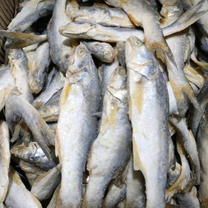 

Grosir Ikan Asin Sinangin Medan 1Kg