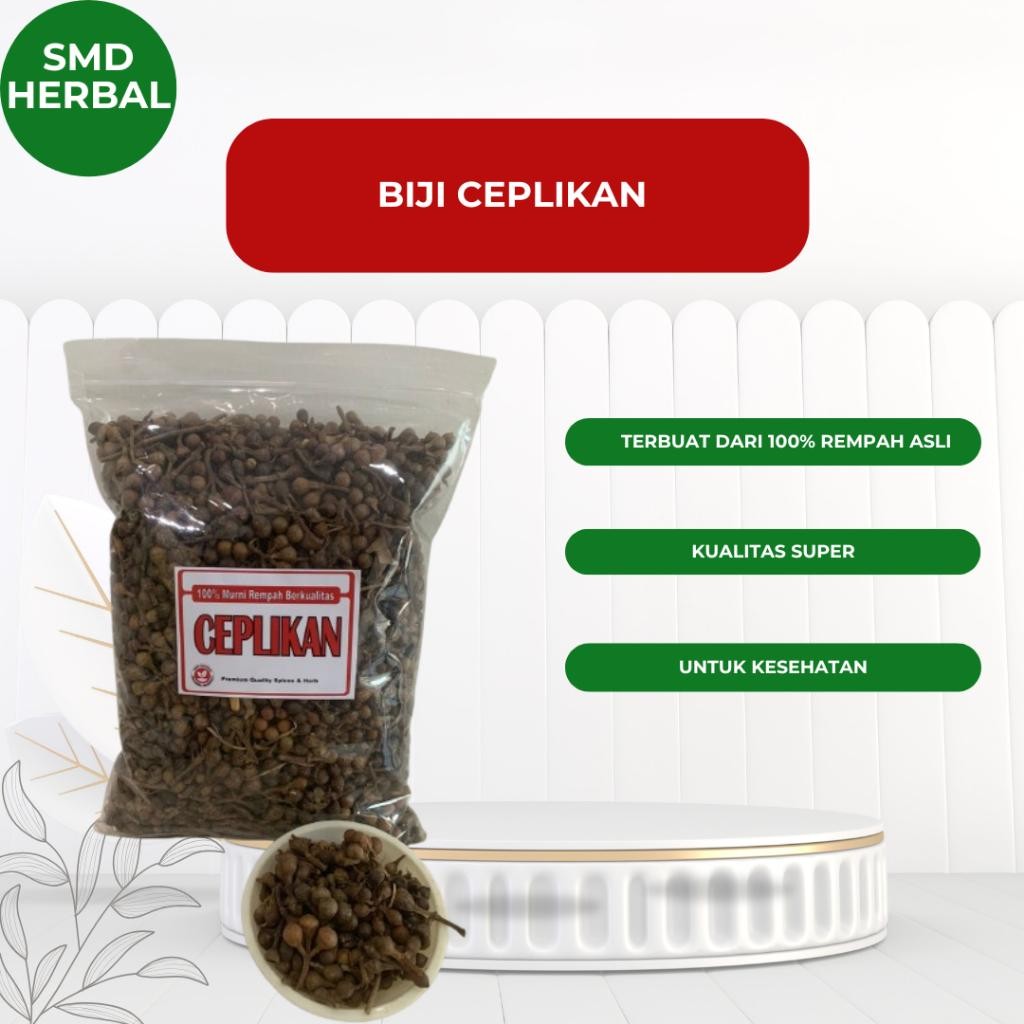 

Biji Ceplikan | Ceplikan Kering