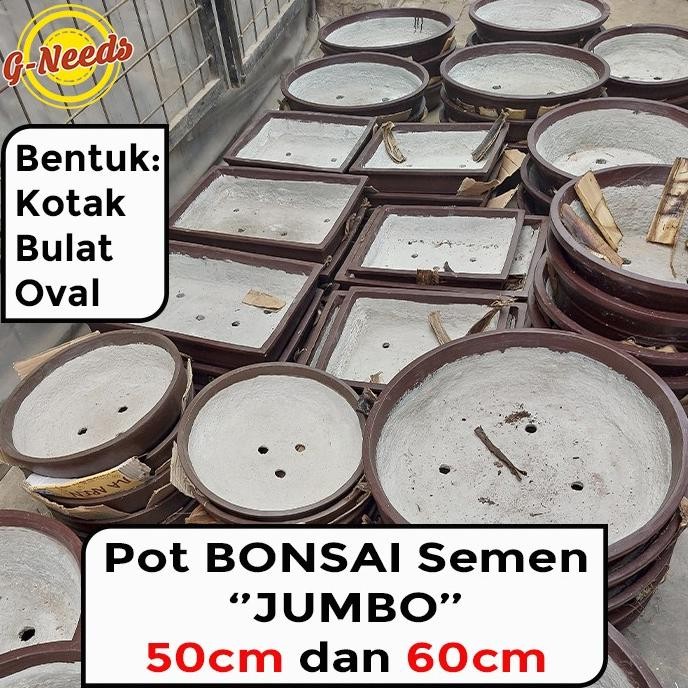 Pot Bonsai JUMBO / Pot Semen Bonsai JUMBO 50cm & 60cm (GRAB/GOJEK/CAR ONLY)