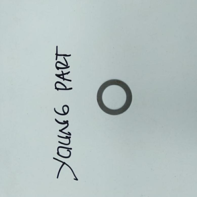 Ring Plat Khusus Tipis M17 Dalaman Mesin Baja (2 Pcs)