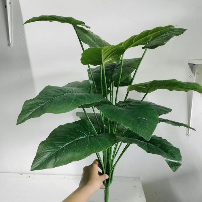 Terlaris Termurah Tanaman Pohon Talas Hijau Jumbo Batang Tebal X18 Artificial Latex// Daun Talas- Ta