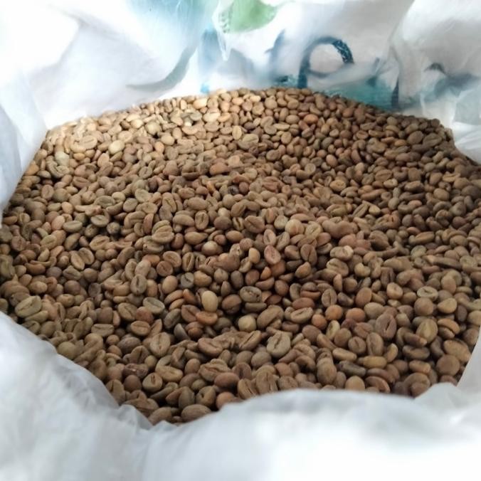 

Grosir Kopi Robusta Pagar Alam 1 Kg (Green Bean)