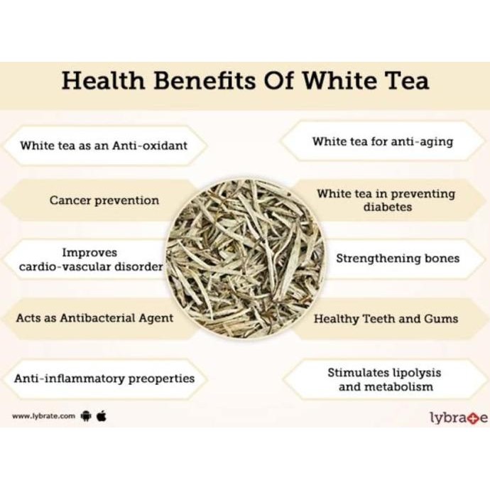 

Sale Teh Putih White Tea Premium Silver Needle