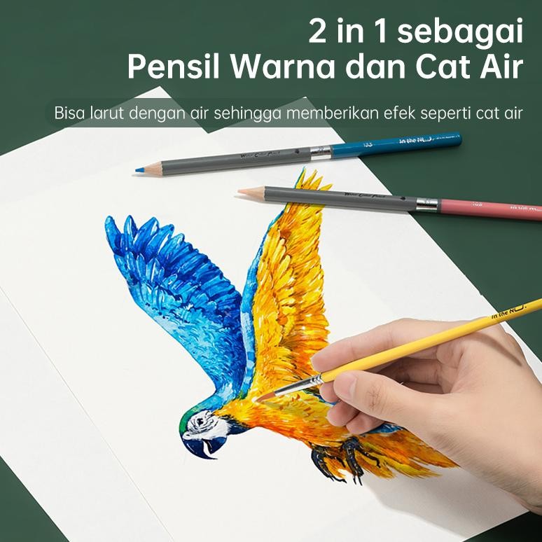 

Nusign Watercolor Pencil / Pensil Warna 48 72 Warna Gratis Kuas NS731 murah