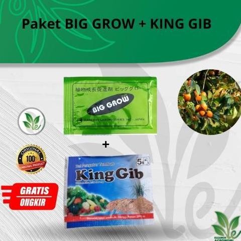 Paket BIG GROW BIGGROW dan KINGGIB KING GIB PEMBESAR BUAH NAGA Hewan MURAH
