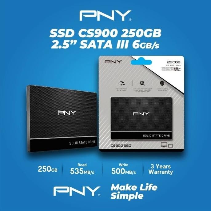 TERLARIS - PNY SSD CS900 250GB SATA III