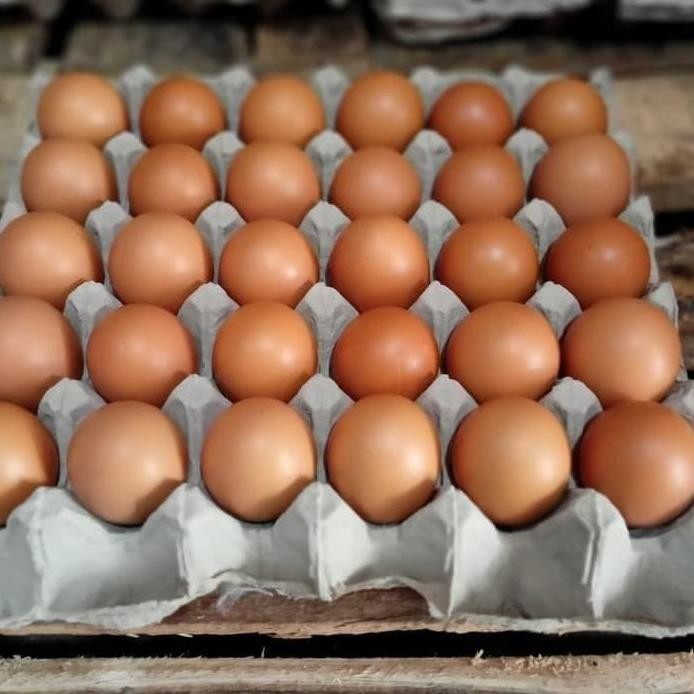 

Terlaris Telur Ayam / Telor Ayam Negeri 30 Btr ( 1 Papan / 1.88 Kg )