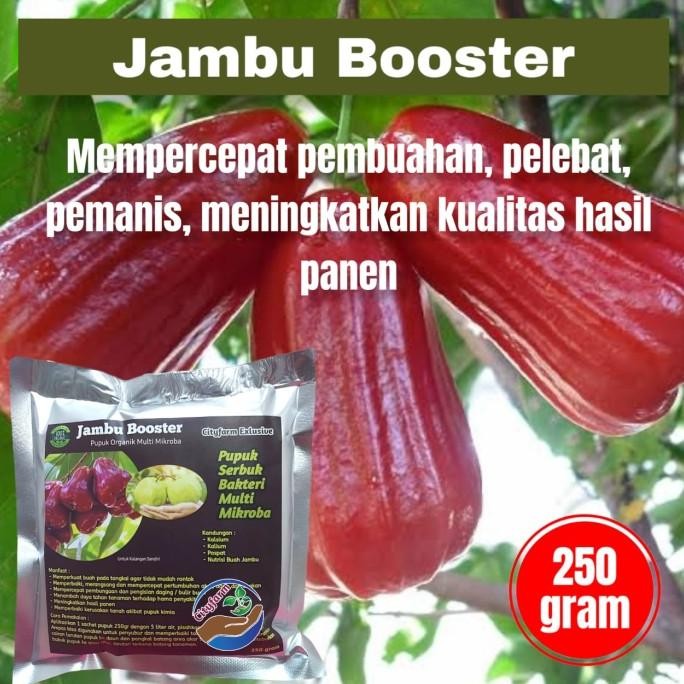 

Terlaris Pupuk Booster Jambu Super Organik Pelebat Buah Dan Anti Rontok 250Gr
