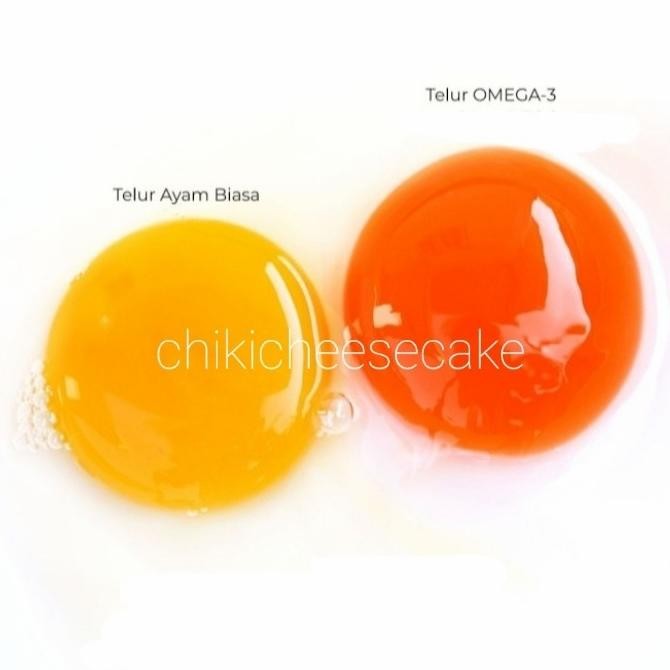 

Terlaris Telur Ayam Premium Omega 3 Isi 10 Butir Telor