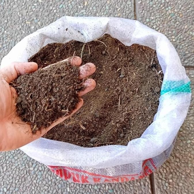 

Terlaris Pupuk Kohe Kemasan Karung/Kohe Karungan/Pupuk Organik