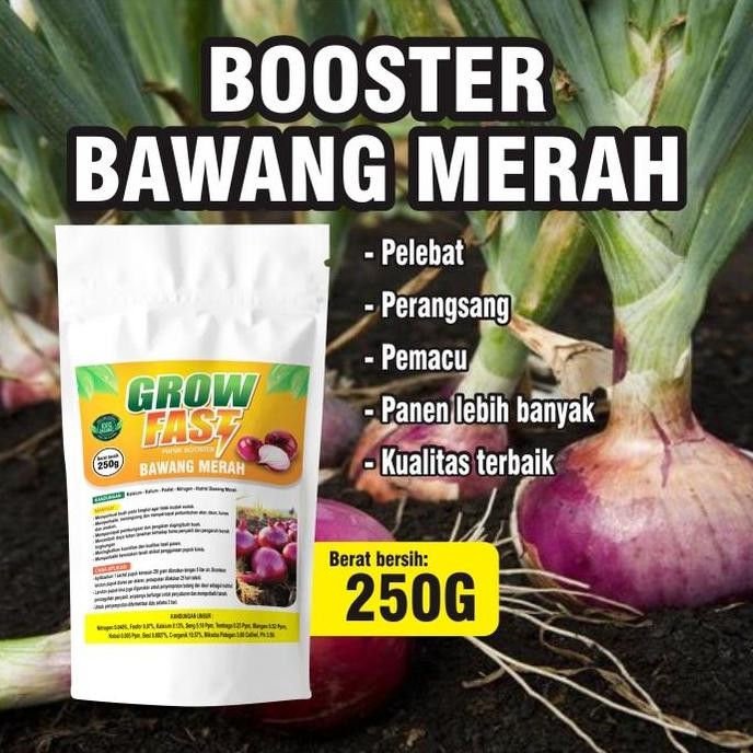 

Terlaris Pupuk Booster Bawang Merah (250Gr) I Pupuk Organik Pelebat Tanaman I Pupuk Organik Perangsang Tanaman