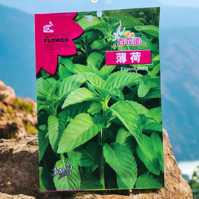

Terlaris (Kemasan Premium) Biji/Benih Tanaman Herbal Mint