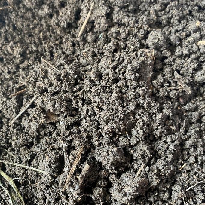 

Terlaris Pupuk Kascing Organik 1 Kg Kotoran Cacing Vermicompost