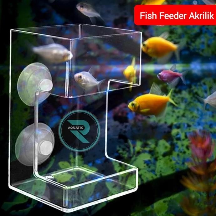 

Terlaris Fish Feeding Akrilik Tempat Makan Ikan Pelet Sinkin