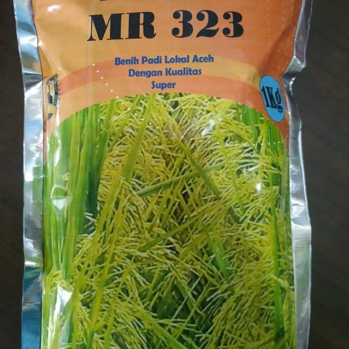 

Terlaris Benih Padi Mr 323 Premium 1 Kg