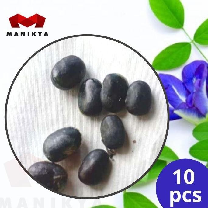 

Terlaris Biji Benih Bibit Tanaman Bunga Telang / Biji Benih Herbal Bunga Telang