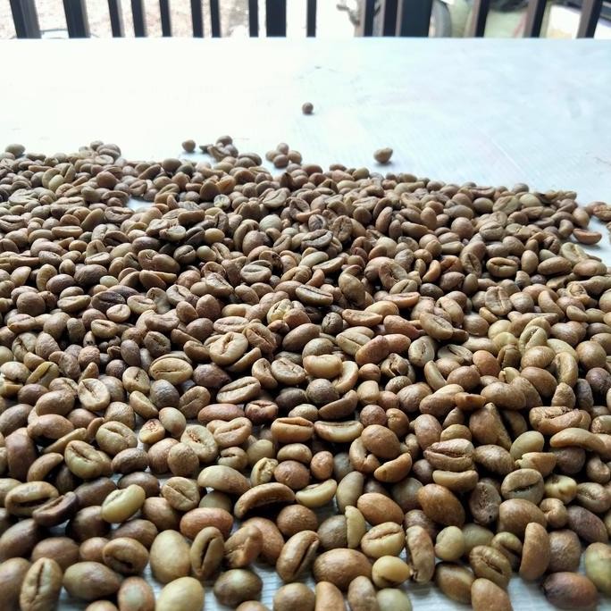 

ready stock Kopi Robusta Pagar alam 1 Kg (green bean)