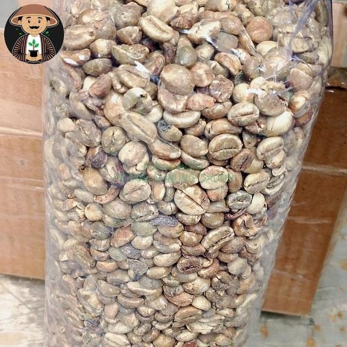 

ready stock Green Bean Robusta 1KG Asalan