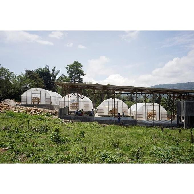 

ready stock Green Bean 1kg NATURAL Process - Sumatra Arabika Sipirok Biji Kopi