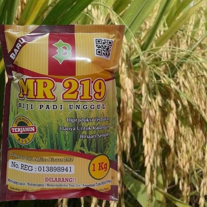 

Terlaris Padi Unggul Mr 219 Terjamin Kualitasnya