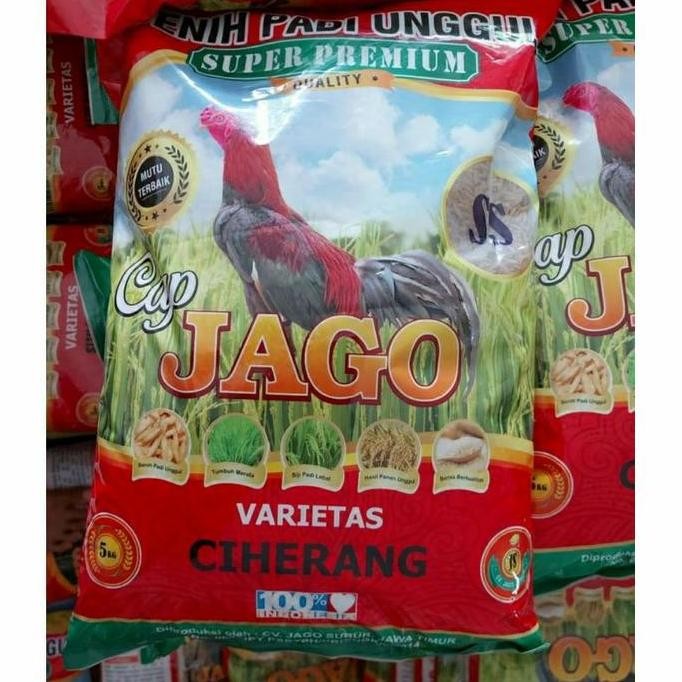 

Terlaris Bibit Padi Ciherang 5 Kg Premium