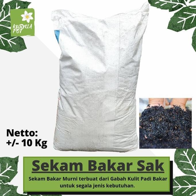 

Terlaris Sekam Bakar Kulit Padi Organik Media Tanam Hidroponik Karung Besar