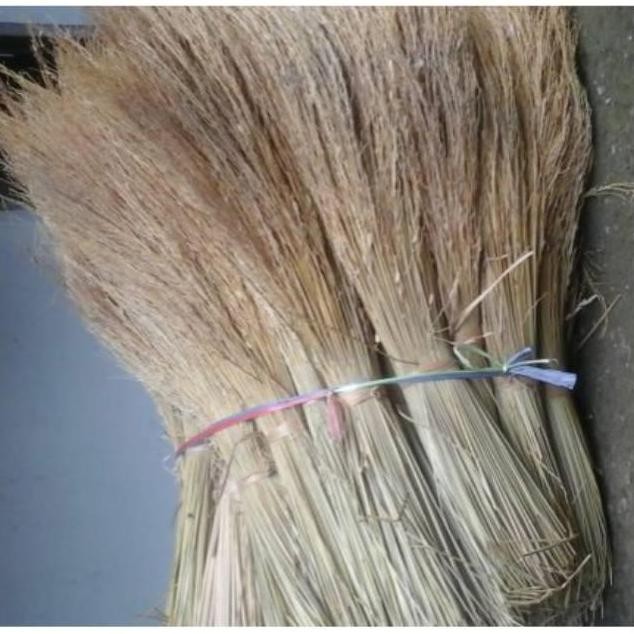 

Terlaris Jerami Padi 1Kg Kering Rapih Bersih Untuk Dekorasi Dan Sarang Burung