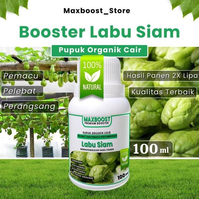 

Terlaris Pupuk Organik Cair Labu Siam Berbuah Lebat / Pupuk Pelebat Buah Labu Siam, Poc Kompos Khusus Labu Siam Melebatkan Dan Memaksimalkan Hasil Panen 100Ml