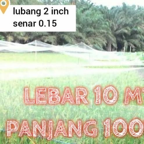 

Terlaris Jaring Sawah Lebar 10 Meter Panjang 100Yds Jaring Burung Jaring Padi Jaring Burung Pipit Burung Emprit