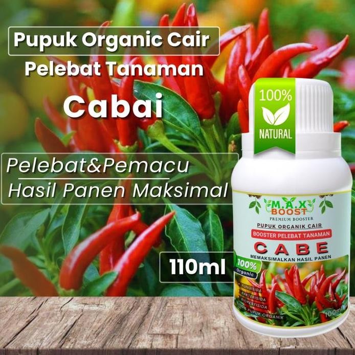 

Terlaris Pupuk Organik Cair Cabai, Booster Cabai, Poc Kompos Melebatkan Dan Memaksimalkan Hasil Panen Kemasan 100Ml Pemacu Pelebat Hormon Organik