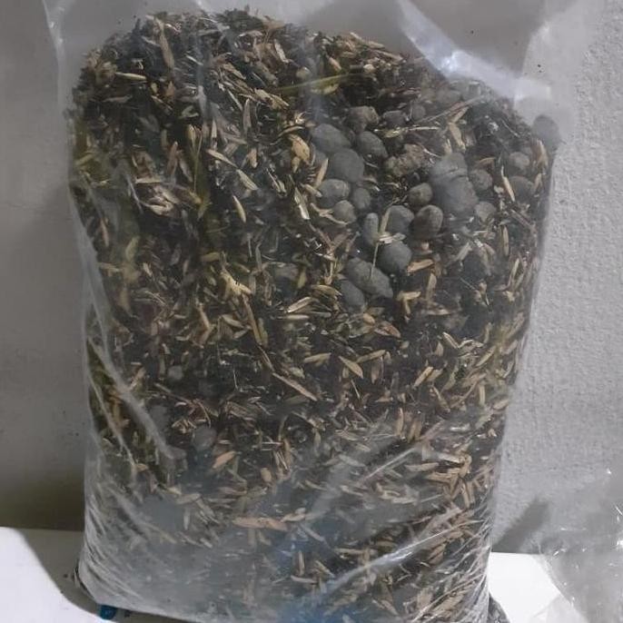 

Terlaris Media Tanam Komplit Dengan Sekam Padi Dan Pupuk Kandang Kemasan