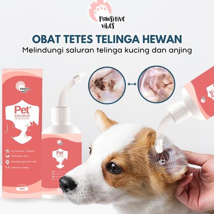 Baru Tetes Telinga Kucing / Telinga Kucing / Tetes Dorrikey