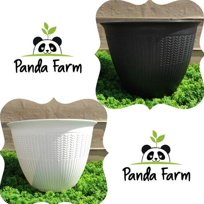 

Terlaris Pot Bunga Cjp Padi No.30 Varian Warna - Tebal