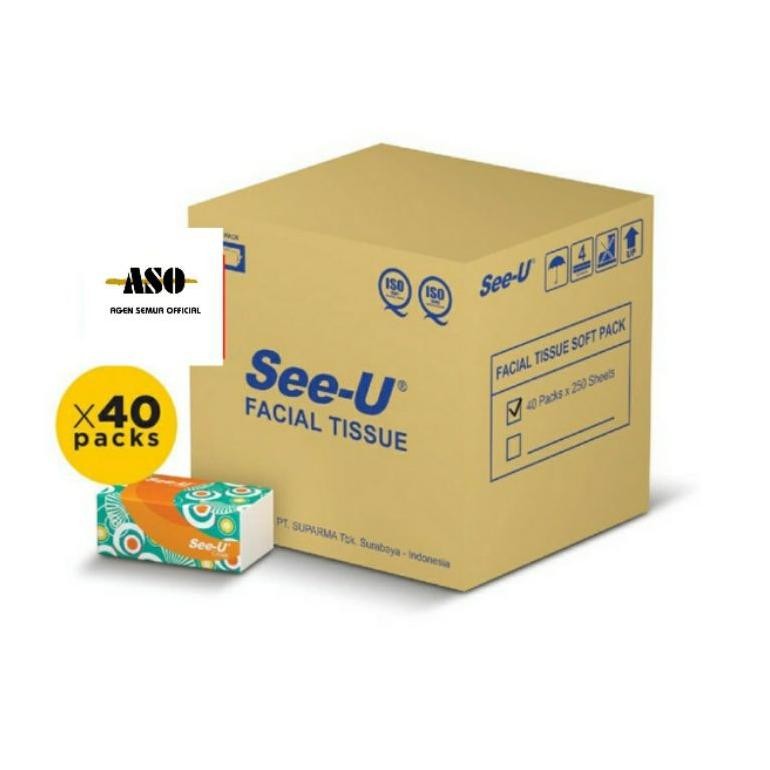 WK DUS TISU TISSUE SEE U 250 Sheet 1 DUS ( ISI 40)