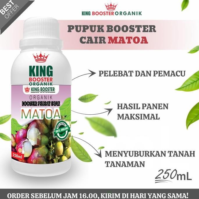 

Terlaris Pupuk Booster Matoa Cair 250Ml Pupuk Organik Pelebat Matoa Pupuk Pemacu Pertumbuhan Dan Pembuahan, Mengahasilkan Panen Lebih Banyak