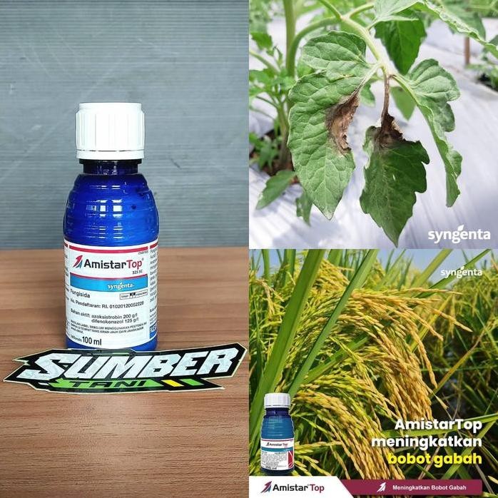 

Terlaris Fungisida Amistartop 325Sc 100Ml Sistemik Basmi Jamur Bercak Daun Meningkatkan Kualitas Bobot Padi