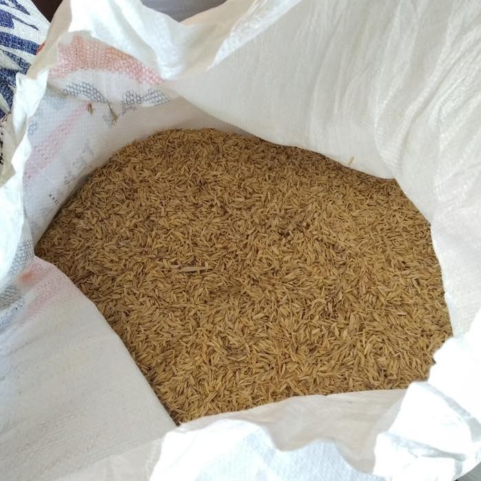 

Terlaris Sekam Padi Organik Karungan