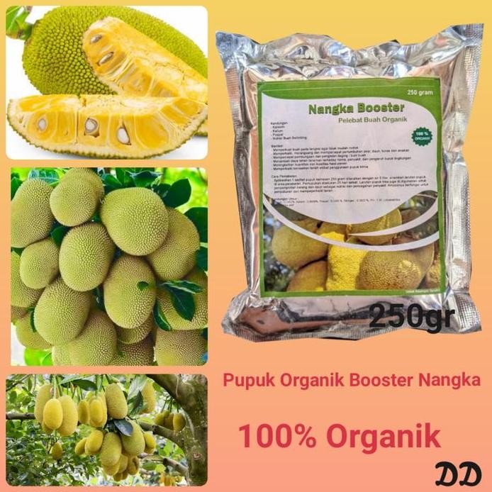 

Terlaris Pupuk Organik Booster Penumbuh Nangka, Pelebat Serbuk Terbaik Nangka