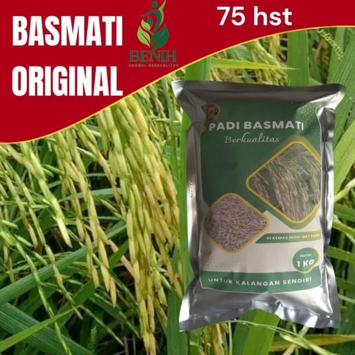 

Terlaris Benih Padi Bibit Padi Basmati 1 Kg Kualitas Tinggi