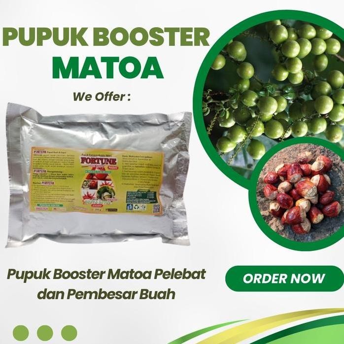

Terlaris Pupuk Matoa Booster, Pupuk Organik Tanaman Buah, Penyubur Bibit Buah