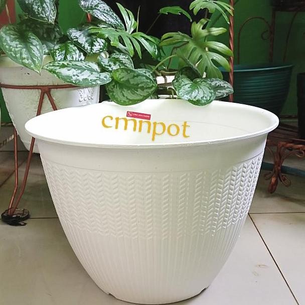 

Terlaris Pot Bunga Cjp Padi 40 Merk Citra Jaya Plastik Ukuran 40