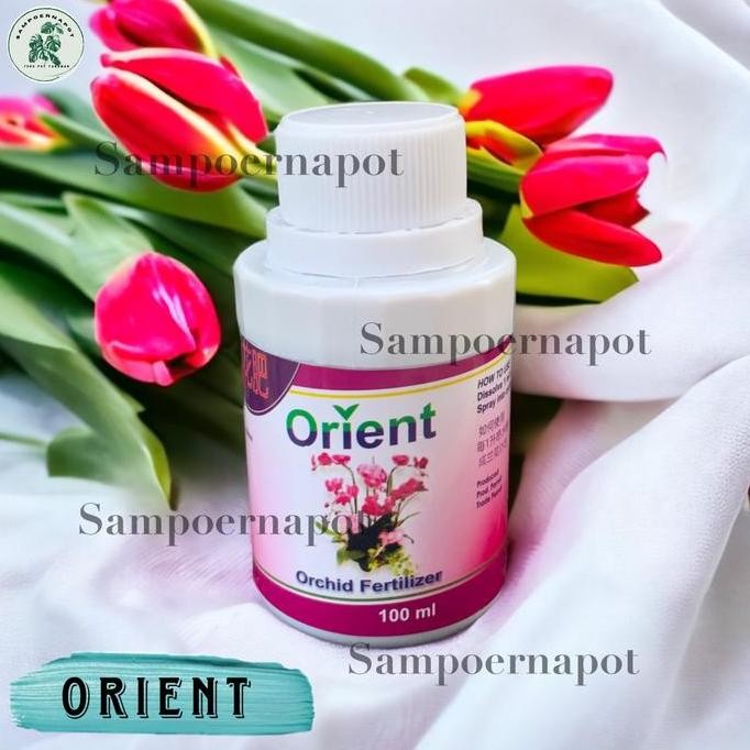 

Terlaris Pupuk Bunga Anggrek Organik Orient Orchid 100Ml Mempercepat Pembungaan