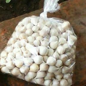 

Bawang Putih Tunggal/Bawang Lanang 250gram Herbal alami