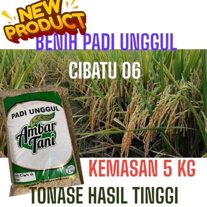 

Terlaris Benih Bibit Padi Unggul Cibatu 06 5Kg