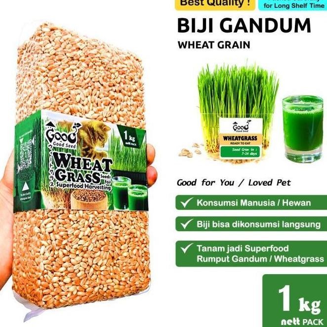 

Terlaris Goodseed - Biji Gandum (Benih Wheatgrass) Superfood Rumput Kucing 1 Kg