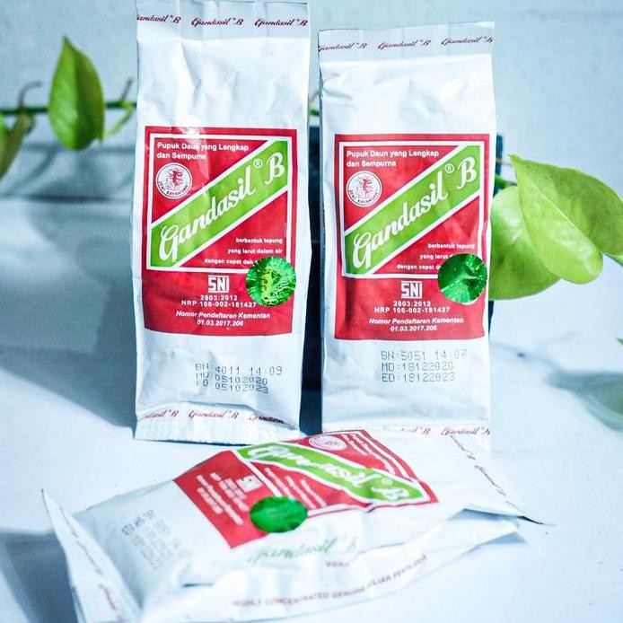 

Terlaris Gandasil B Pupuk Bunga Dan Buah/Npk Ampuh