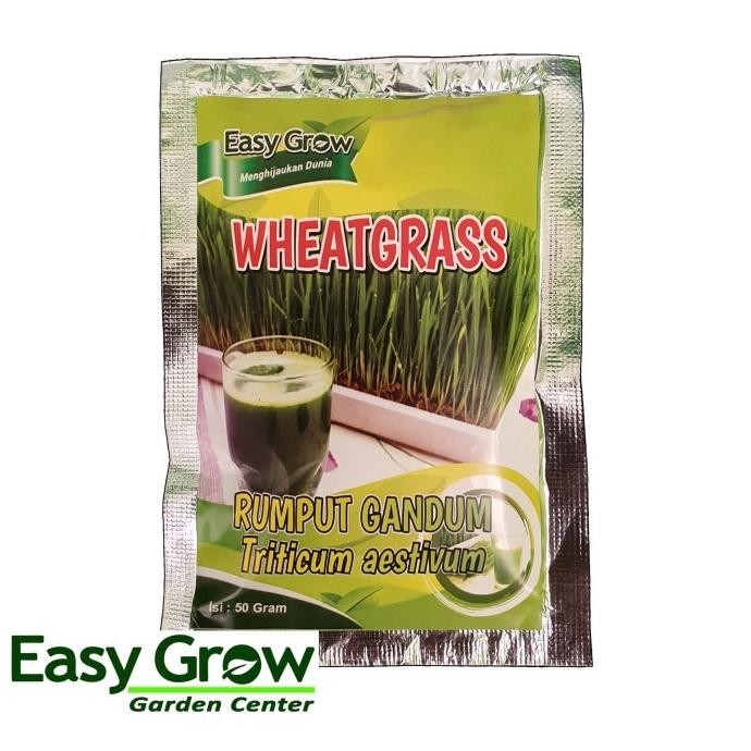 

Terlaris Gg Da Benih Rumput Gandum (Wheatgrass)
