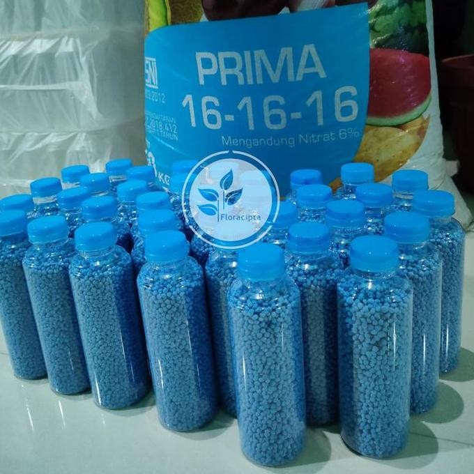 

Terlaris Pupuk Npk Mutiara Nitroku Prima 16 16 16