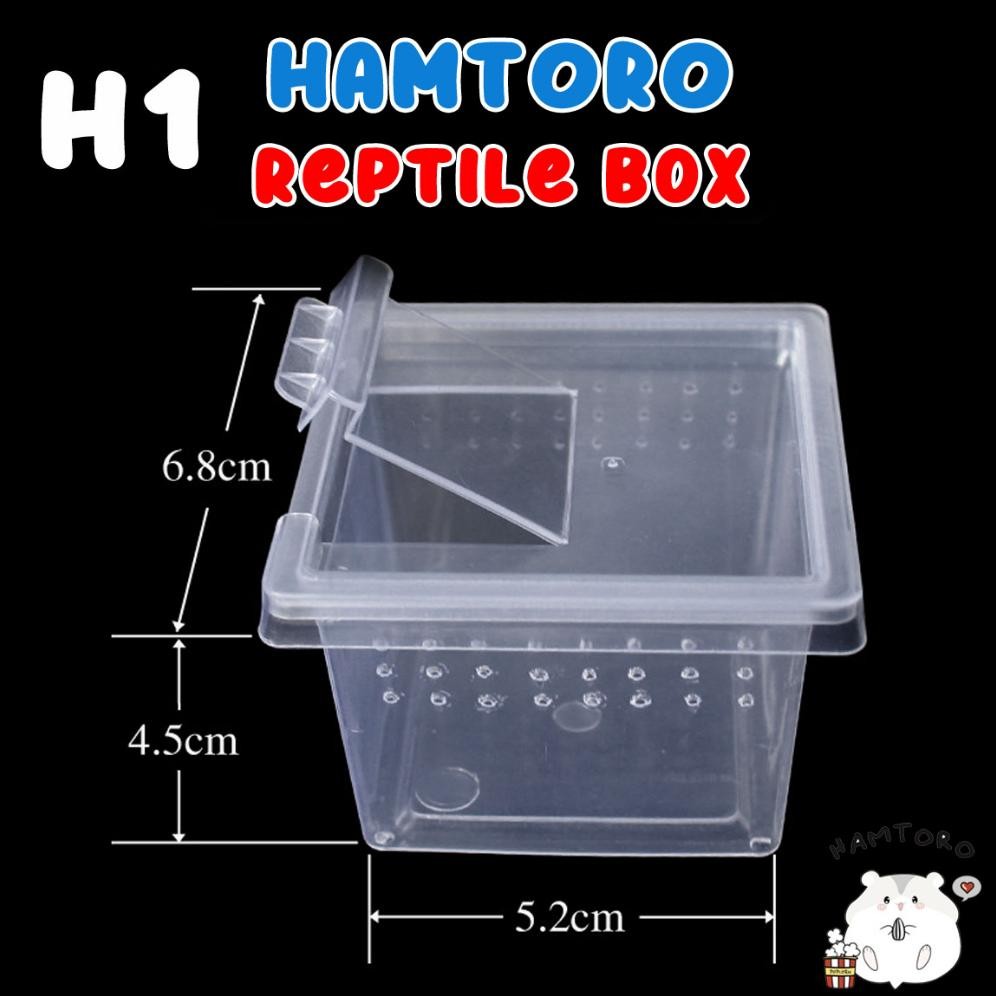 Ready Hamtoro Gecko Box Kandang Besar Feeding Hamster/Reptil/Gecko